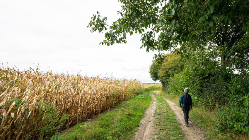 Wandeling in Vlaanderen